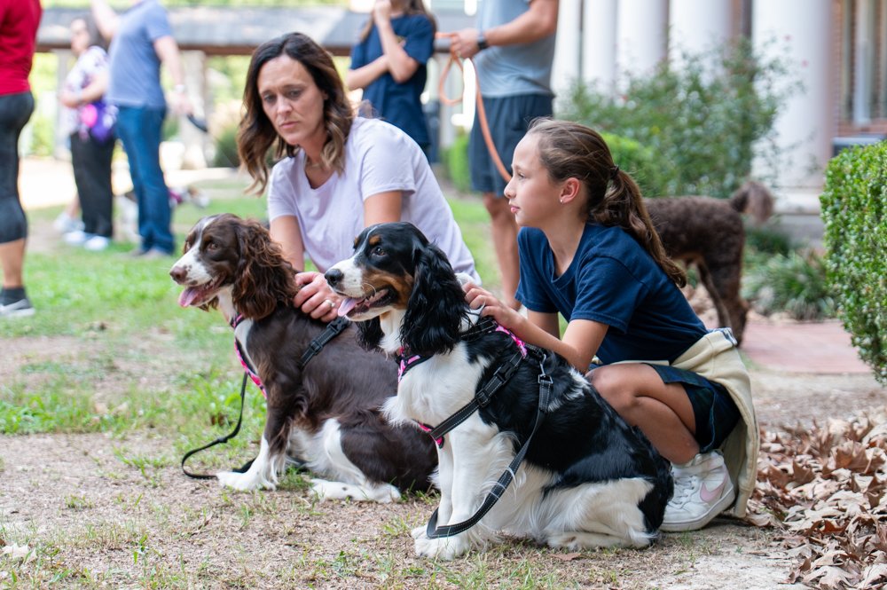 Blessing of the Pets